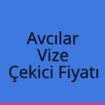 Avcılar – Vize Çekici Fiyatı