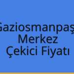 Gaziosmanpaşa – Siirt Merkez Çekici Fiyatı