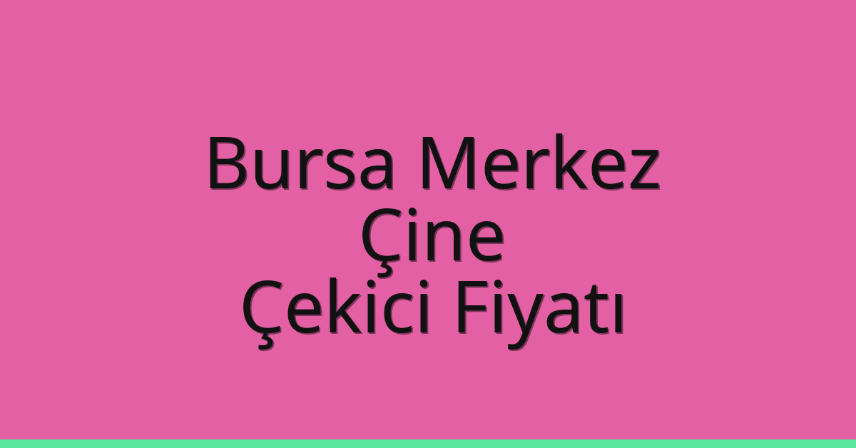 Bursa Merkez – Çine Çekici Fiyatı