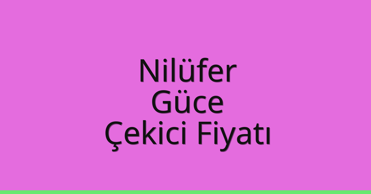 Nilüfer – Güce Çekici Fiyatı