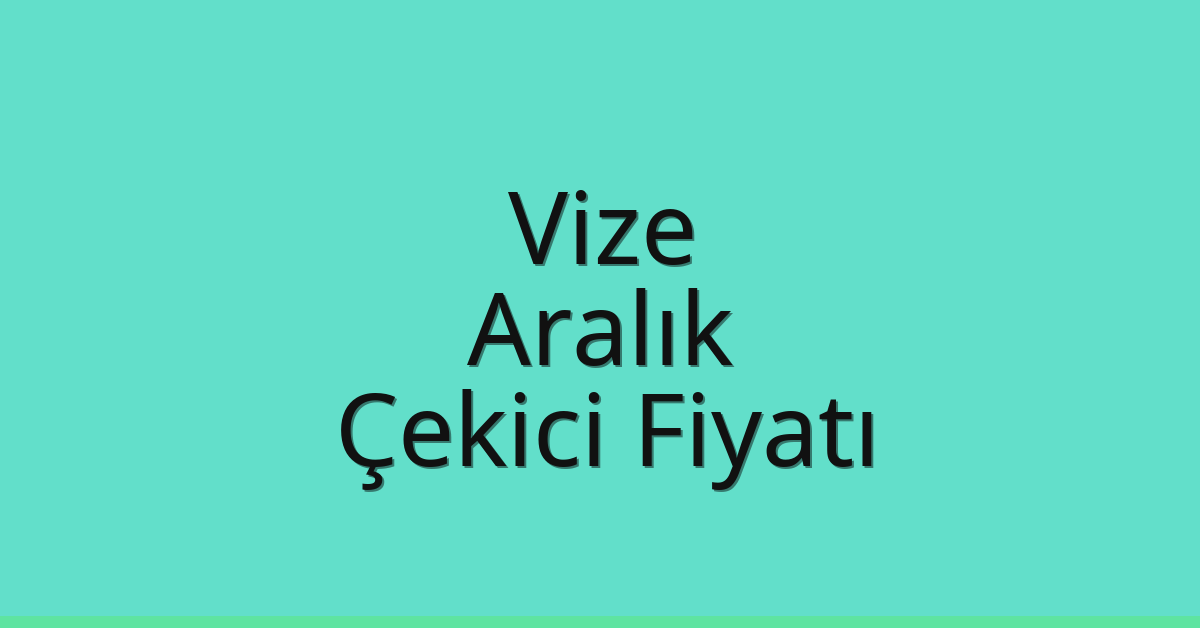 Vize – Aralık Çekici Fiyatı