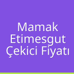 Mamak – Etimesgut Çekici Fiyatı