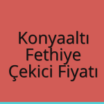 Konyaaltı – Fethiye Çekici Fiyatı