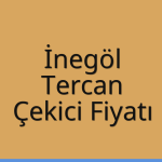 İnegöl – Tercan Çekici Fiyatı