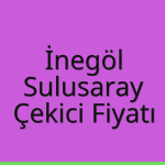 İnegöl – Sulusaray Çekici Fiyatı