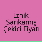 İznik – Sarıkamış Çekici Fiyatı
