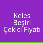 Keles – Beşiri Çekici Fiyatı