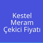 Kestel – Meram Çekici Fiyatı