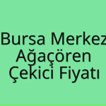 Bursa Merkez – Ağaçören Çekici Fiyatı