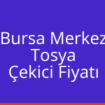 Bursa Merkez – Tosya Çekici Fiyatı
