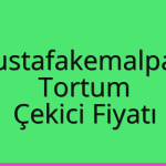Mustafakemalpaşa – Tortum Çekici Fiyatı