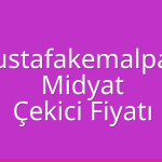 Mustafakemalpaşa – Midyat Çekici Fiyatı