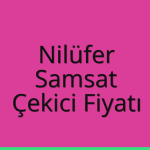 Nilüfer – Samsat Çekici Fiyatı