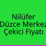 Nilüfer – Düzce Merkez Çekici Fiyatı