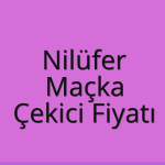 Nilüfer – Maçka Çekici Fiyatı