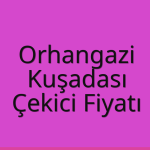 Orhangazi – Kuşadası Çekici Fiyatı