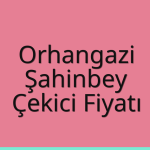 Orhangazi – Şahinbey Çekici Fiyatı