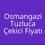 Osmangazi – Tuzluca Çekici Fiyatı