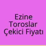 Ezine – Toroslar Çekici Fiyatı