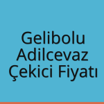 Gelibolu – Adilcevaz Çekici Fiyatı