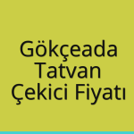 Gökçeada – Tatvan Çekici Fiyatı