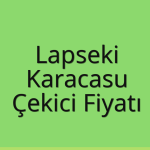 Lapseki – Karacasu Çekici Fiyatı