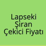 Lapseki – Şiran Çekici Fiyatı
