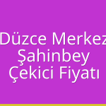 Düzce Merkez – Şahinbey Çekici Fiyatı