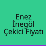 Enez – İnegöl Çekici Fiyatı
