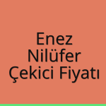 Enez – Nilüfer Çekici Fiyatı