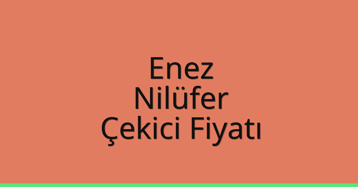 Enez – Nilüfer Çekici Fiyatı