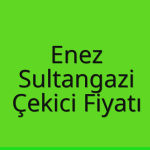 Enez – Sultangazi Çekici Fiyatı