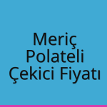 Meriç – Polateli Çekici Fiyatı