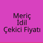 Meriç – İdil Çekici Fiyatı