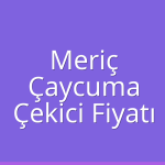 Meriç – Çaycuma Çekici Fiyatı