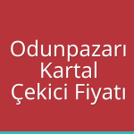 Odunpazarı – Kartal Çekici Fiyatı