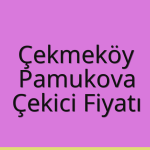 Çekmeköy – Pamukova Çekici Fiyatı
