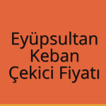 Eyüpsultan – Keban Çekici Fiyatı