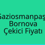 Gaziosmanpaşa – Bornova Çekici Fiyatı