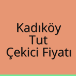 Kadıköy – Tut Çekici Fiyatı