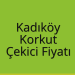 Kadıköy – Korkut Çekici Fiyatı
