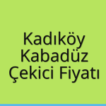 Kadıköy – Kabadüz Çekici Fiyatı