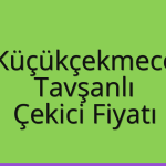 Küçükçekmece – Tavşanlı Çekici Fiyatı