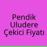 Pendik – Uludere Çekici Fiyatı