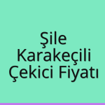 Şile – Karakeçili Çekici Fiyatı