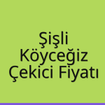 Şişli – Köyceğiz Çekici Fiyatı