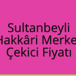 Sultanbeyli – Hakkâri Merkez Çekici Fiyatı