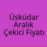 Üsküdar – Aralık Çekici Fiyatı
