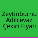 Zeytinburnu – Adilcevaz Çekici Fiyatı