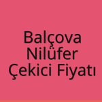 Balçova – Nilüfer Çekici Fiyatı